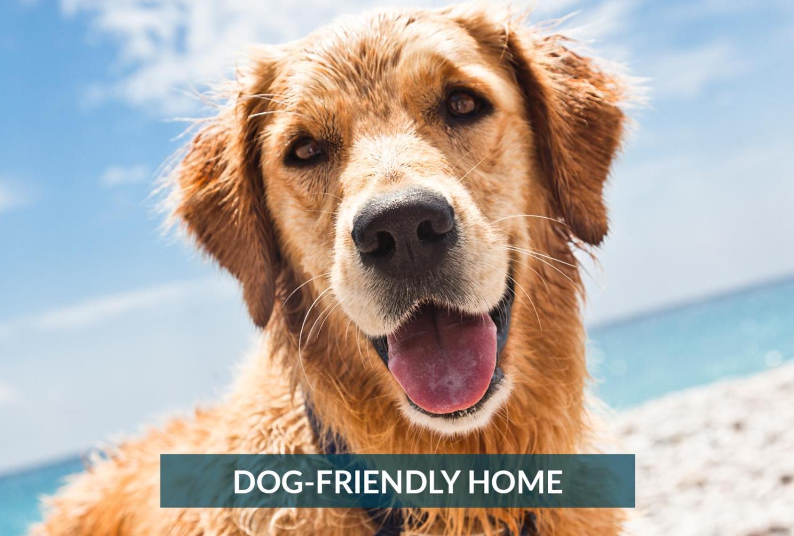 5508 Southern Comfort Dog Friendly Shared Pool Kill Devil Hills Luaran gambar